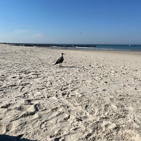 Baltic Harmony Grzybowo (West Pomeranian)