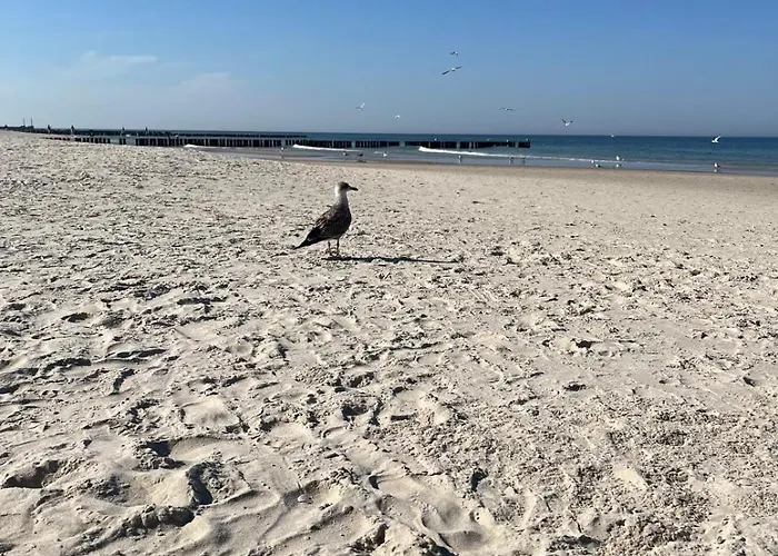 Baltic Harmony Grzybowo (West Pomeranian)